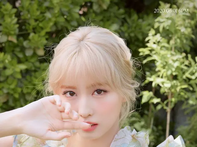 【d公式jyp】TWICE "MORE＆MORE」CONCEPT PHOTO MOMO  TWICE  THE 9TH MINI ALBUM  MORE＆MOR