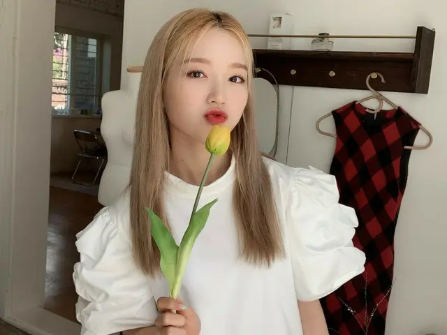 【t公式】今月の少女(Loona)、[ #高原/ #GoWon]メンバーが好きなチューリップ、そして私🌹   #今月の少女(LOONA)#LOONA 