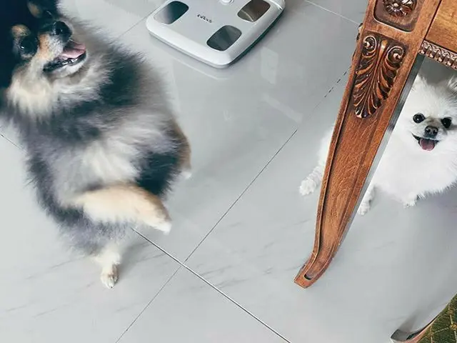 【G公式】Super Junior_イェソン、コミンやらメロラング🐶   