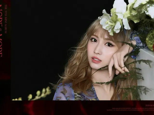 【d公式jyp】TWICE "MORE＆MORE」CONCEPT PHOTO MOMO  TWICE  THE 9TH MINI ALBUM  MORE＆MOR