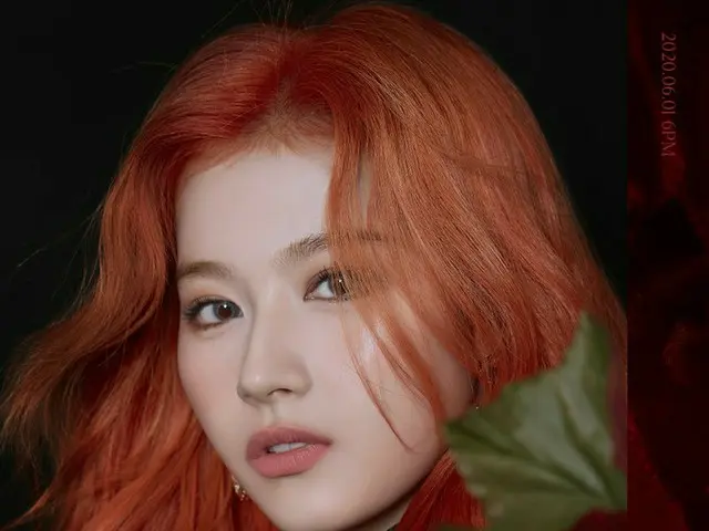 【d公式jyp】TWICE "MORE＆MORE」CONCEPT PHOTO SANA  TWICE  THE 9TH MINI ALBUM  MORE＆MOR