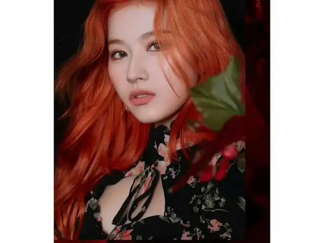 TWICE、カムバックのティーザー写真「総集編」