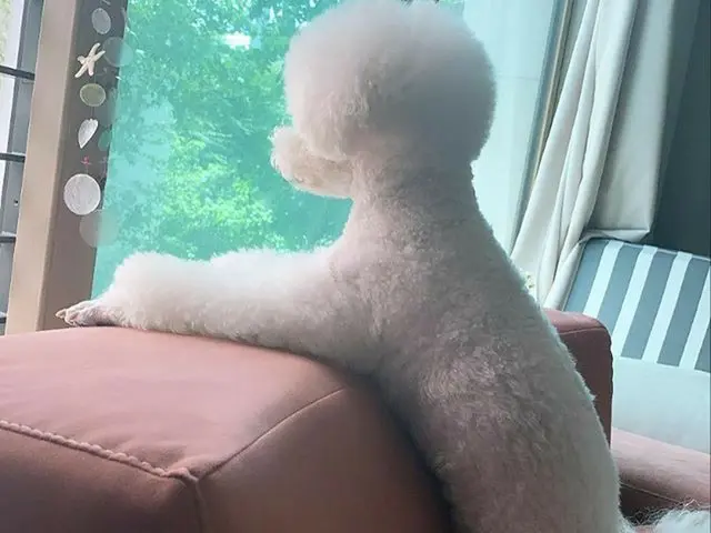 【g公式】SISTAR_出身ボラ、ポラン説🐶🐶 フォーはその姿勢が好きです🤭 的とてもかわいい☺️    