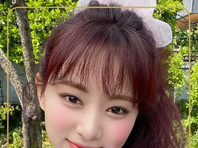 TWICE、 "MORE & MORE" ALBUM PHOTOCARD 総集編