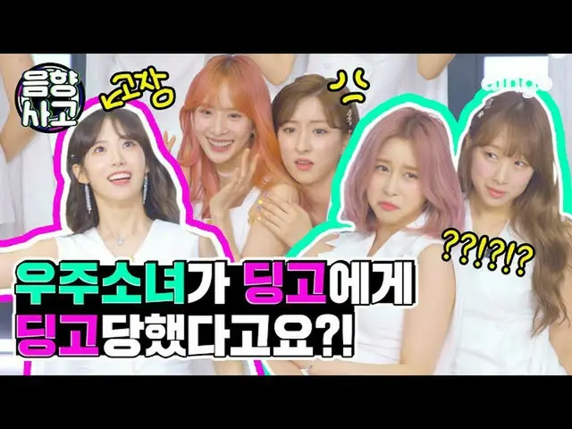 【公式din】 宇宙少女_ が蝶ダンスをしたらディンゴはディンゴをするよ🎶ㅣディンゴミュージックㅣDingo Musicㅣ音響事故l宇宙少女_ (WJSN_ 