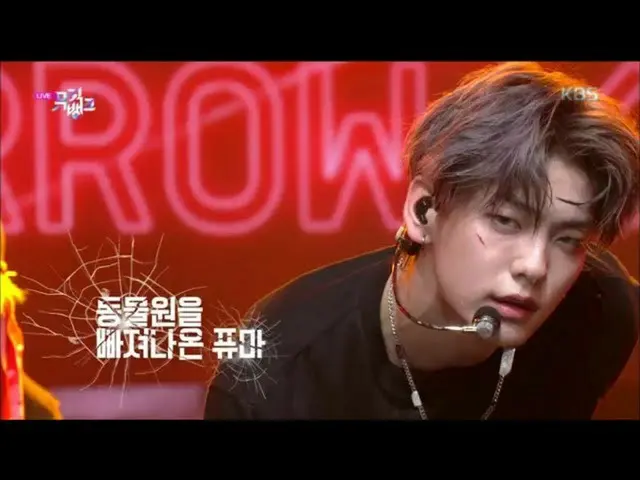 【公式kbk】動物園を抜け出したプーマ(PUMA) -  TOMORROW X TOGETHER [MUSICBANK_ / Music Bank] 20200