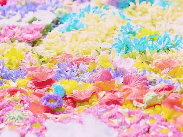 【d公式mnh】RT CHUNGHA_MNHent：CHUNG HA Pre-Release Single #2  2020. 07. 06 6PM(KST) 