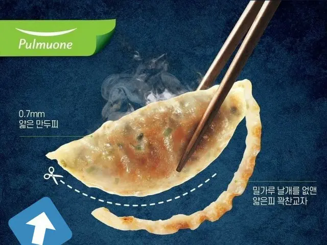 日中韓の共通の食文化「餃子」、韓国で「羽のない」餃子の誕生が話題