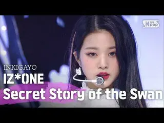 【公式sb1】IZ*ONE_ (IZ*ONE_ ) - Secret_ _ Story of the Swan(幻想童話)人気歌謡_ inkigayo 2020