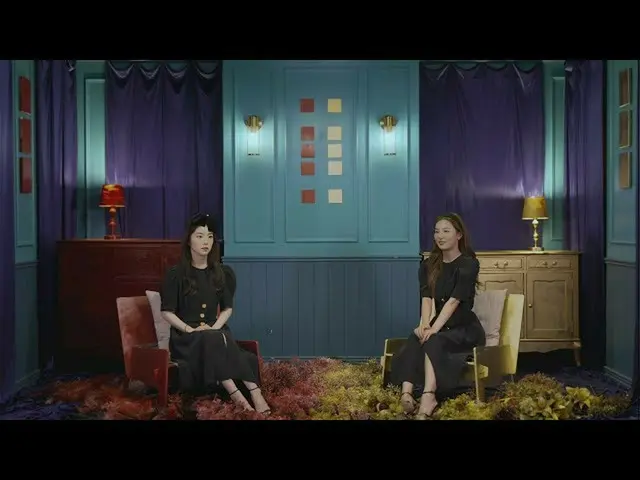 【t公式】RED VELVET、影のインタビュー|アイリーンとアイリーンをインタビューした(IRENE＆IRENE were Interviewed)  👉 