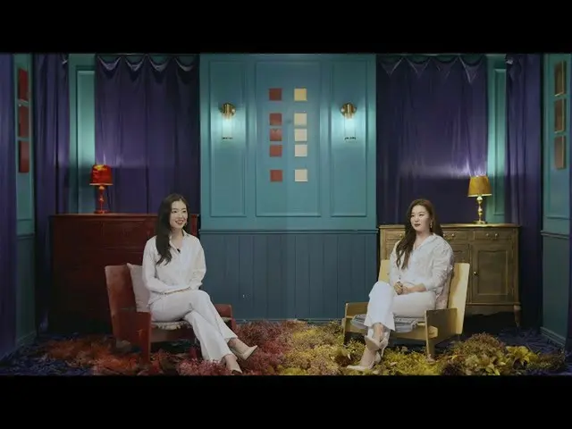 【t公式】RED VELVET、影のインタビュー|英知と知恵をインタビューした(SEULGI＆SEULGI were Interviewed)  👉  #Re