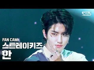 【公式sb1】【テレビ1列_] StrayKids_ した「Easy」(StrayKids_ _ HAN FanCam)│@ SBS 人気歌謡_2020.7.1