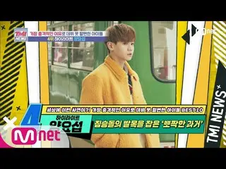 【公式mnk】Mnet TMI NEWS [51回]獣石の足首をつかん」ポチャクした過去！ Highlight_ _ ヤン・ヨソプ！ 200722 EP.51 