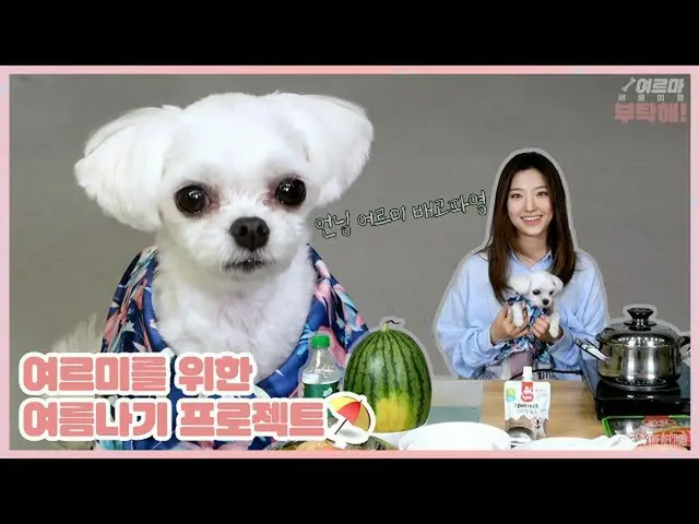 【t公式】fromis_9、[📺 #fromis_9]  <女ルマセロムイをお願い> 以上ルミのための夏のナギのプロジェクト⛱  🖇   #fromis_9