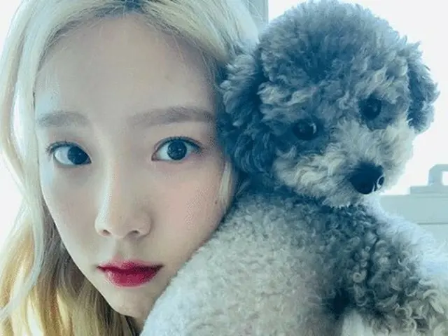 #少女時代 テヨンの愛犬「Zero」グッズ、「テヨン・グッズよりも人気」が韓国で話題