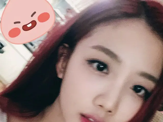 【t公式】Cherry Bullet、[ #ユーズド#YUJU]♥️🍉🌺🍒見たかった🥰 #CherryBullet #Cherry Bullet