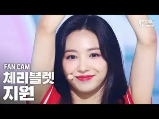 【公式sb1】【テレビ1列_] Cherry Bulletサポート」アロハオーに「(CherryBullet_ JIWON「Aloha Oe」FanCam)│@