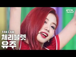 【公式sb1】【テレビ1列_] Cherry Bulletユーズド」アロハオーに「(CherryBullet_ YUJU「Aloha Oe」FanCam)│@ 
