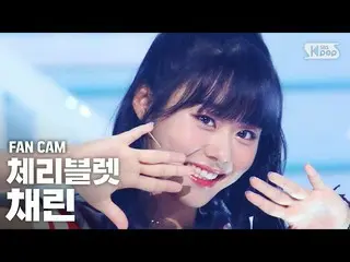 【公式sb1】【テレビ1列_] Cherry Bulletチェリン」アロハオーに「(CherryBullet_ CHAERIN「Aloha Oe」FanCam)