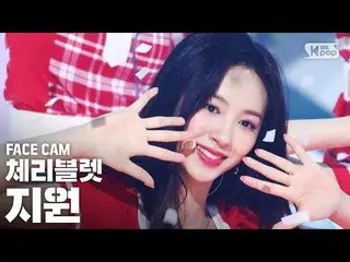 【公式sb1】【フェイスカム4K] Cherry Bulletサポート」アロハオーに「(CherryBullet_ JIWON「Aloha Oe」FaceCam