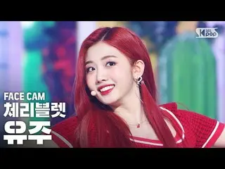 【公式sb1】【フェイスカム4K] Cherry Bulletユーズド」アロハオーに「(CherryBullet_ YUJU「Aloha Oe」FaceCam)