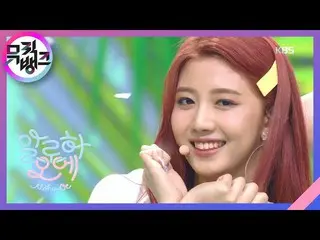 【公式kbk】アロハオーに(Aloha Oe) -  Cherry Bullet(CherryBullet_ )[MUSICBANK_ / Music Bank