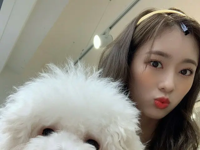 【t公式】Cherry Bullet、[ #メイ#MAY]一緒にセルカも撮ってくれるデンデンイ #CherryBullet #Cherry Bullet