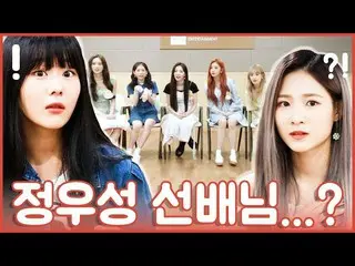 【t公式】Cherry Bullet、[君たち何してる] Cherry Bulletとカン・ドンウォン？！ <NewsenTV> 🍒  #Cher   