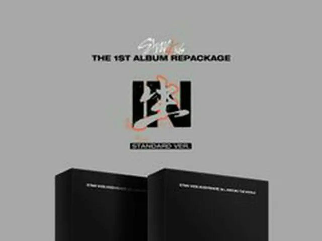 【d公式jyp】Stray Kids STANDARD ver。