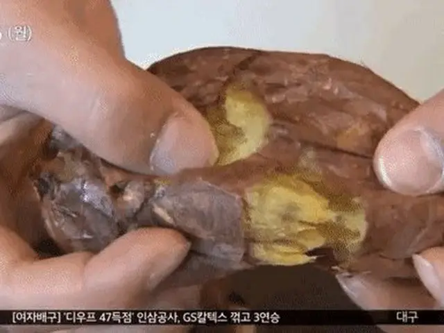韓国ネットユーザーが現在衝撃を受けているもの