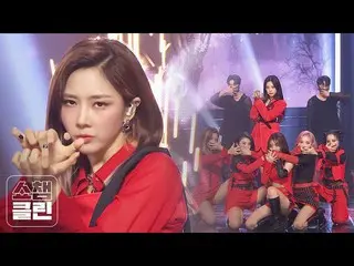 【公式mbm】【オタク活動キャプチャ用♥CLEAN] DREAMCATCHER  - BOCA(DREAMCATCHER  -  BOCA)   