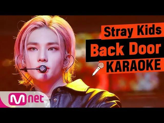 【公式mnk】♬StrayKids_ _  -  Back DoorKARA_ _ _ OKE♬   