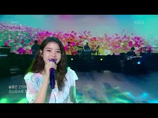 【公式kbk】IU(アイユー)_  - あなたの意味(Feat