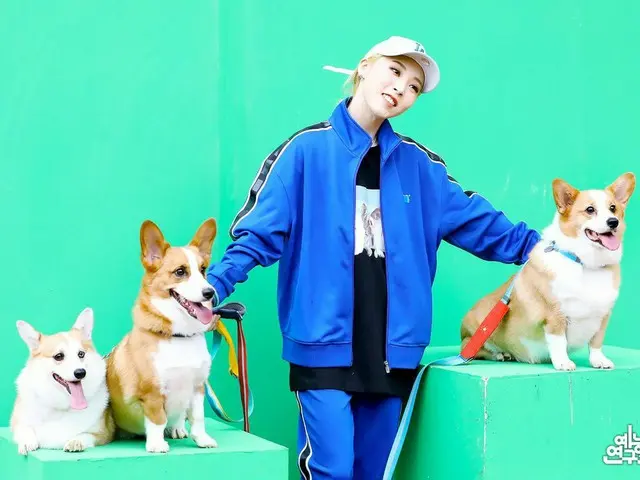 【t公式】MAMAMOO、_：🐶ワンワン選手権現場フォト🐶  #MAMAMOO #MAMAMOO #ムンビョルRBW_MAMAMOO 