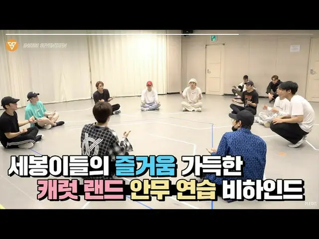 【公式】SEVENTEEN、[INSIDE SEVENTEEN] 2020 SVT 4th FAN MEETING <SEVENTEEN in CARAT LA