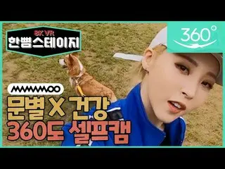 【t公式】MAMAMOO、[ #ムンビョル] 【ハンピョムステージVR】MAMAMOO (MAMAMOO)ムンビョル、健康このの競技場の外出！ああモンデセルフカ