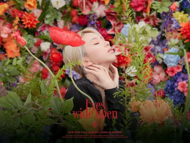 【d公式jyp】TWICE THE 2ND FULL ALBUM Eyes wide open  -  I CAN NOT STOP ME STORY Teas