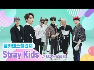 【公式mnk】【エムカダンスチャレンジフルバージョン] StrayKids_ (StrayKids_ _ ) -  Growl♬  