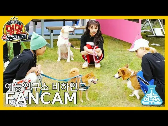 【t公式】MAMAMOO、_：[芸能研究所ビハインド直カム]  #アイドル犬選手権大会  #ビハインド #直カム#Fancam 2020秋夕特集アイドル犬選手権