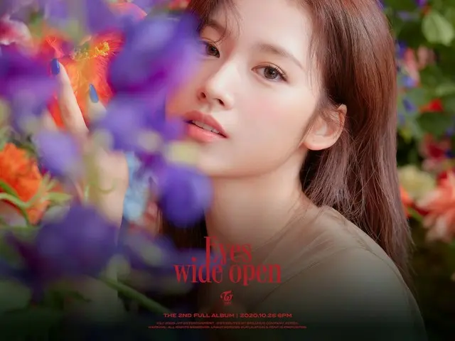 【d公式jyp】TWICE THE 2ND FULL ALBUM Eyes wide open  -  I CAN NOT STOP ME STORY Teas