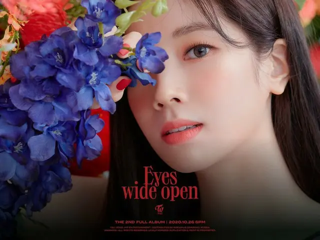 【d公式jyp】TWICE THE 2ND FULL ALBUM Eyes wide open  -  I CAN NOT STOP ME STORY Teas