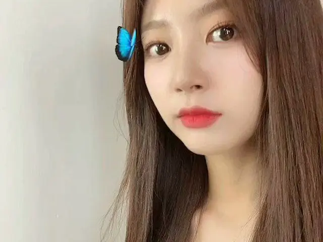【t公式】LABOUM、[ #翌]🦋が⚘を調べ！  #LABOUM #LABOUM #HAEIN