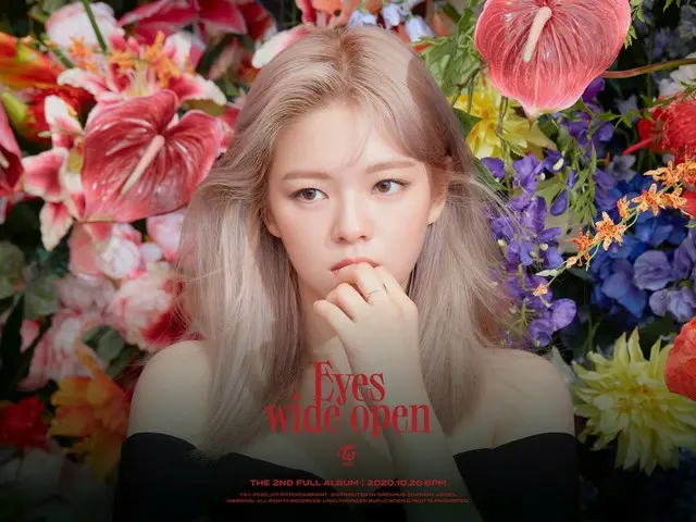 【d公式jyp】TWICE THE 2ND FULL ALBUM Eyes wide open  -  I CAN NOT STOP ME STORY Teas