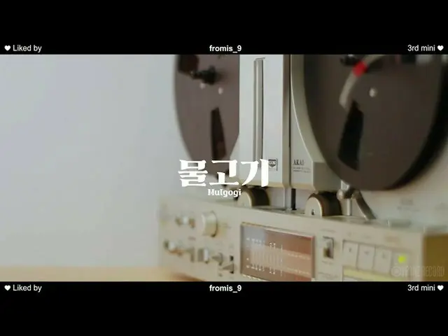 【t公式】fromis_9、[📺 #fromis_9] fromis_9「魚(Mulgogi)」Special Video 🖇  