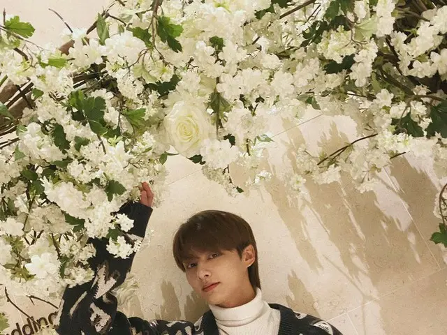 【JT公式】SEVENTEEN、RT pledis_17：[17'S JUN]🌸
