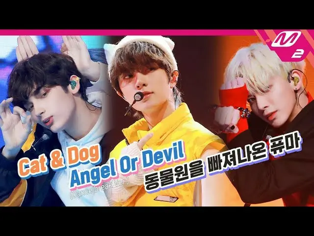 【公式mn2】TXT_ _ (TXT_ ) -  Cat＆Dog + Angel Or Devil +動物園を抜け出したピューマ| TOMORROW X TOG