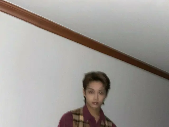 【JT公式】SEVENTEEN、RT pledis_17：[17'S JUN]🍃⏩🍂