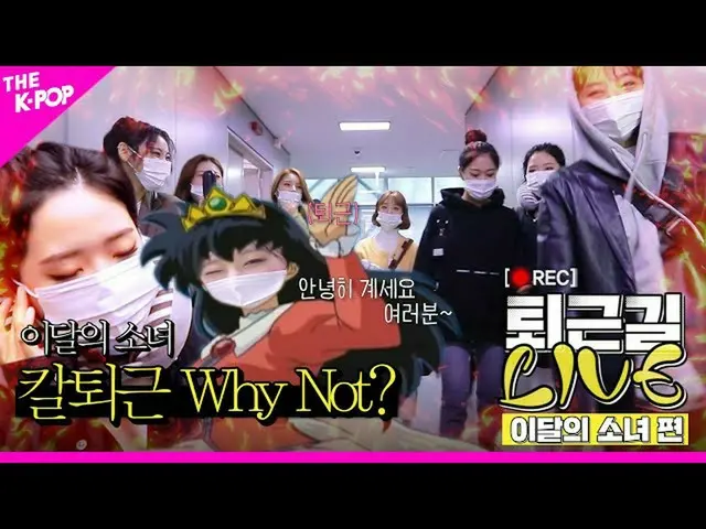 【公式sbp】 [仕事帰りLIVE]今月の少女_ (LOONA_ )カルトゥェ可能？ Why Not？  