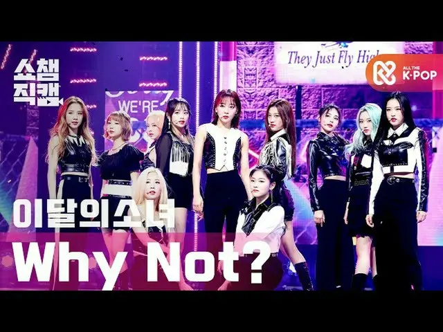 【公式mbm】【SHOW CHAMPION__]今月の少女_  - ワイ鎌？ (LOONA_  -  Why Not？)l #SHOW CHAMPION_ U-