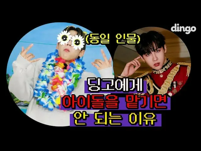【公式din】 ⚠️警告⚠️ディンゴに最愛❤️アイドルを任せればならない理由wwww(feat.AB6IX_ _ )ㅣディンゴミュージックㅣDingo Musi